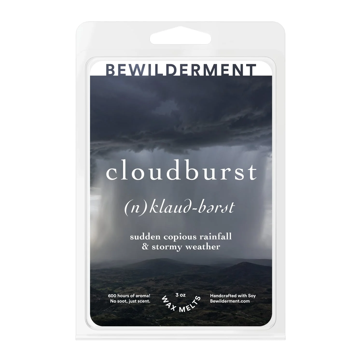 Cloudburst Wax Melts